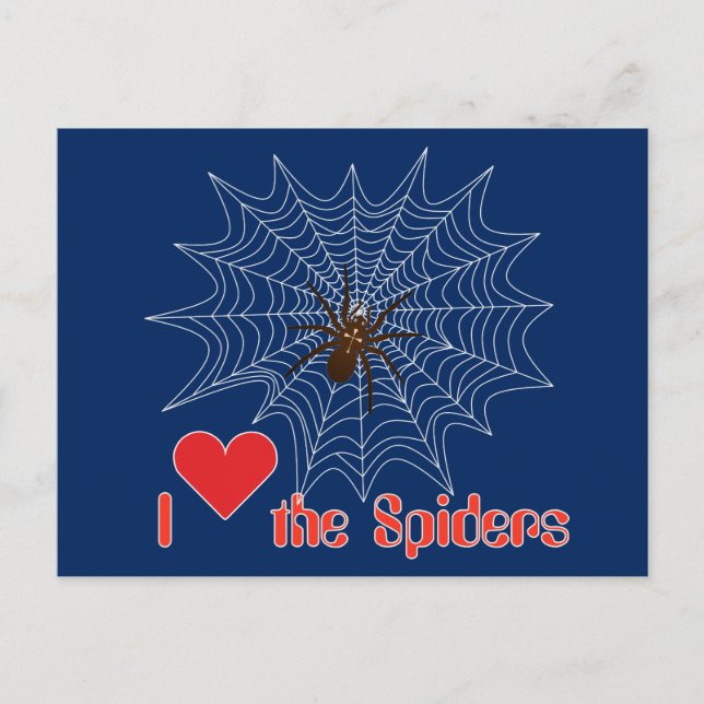 Kreuzspinne im Netz Postkarte (Vorderseite)