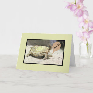 KREUZUNG, DIE ÜBER IHREN UNFALL/HUMO GEDREHT WIRD KARTE