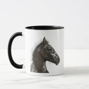 Kreuzung Fohlen zwischen einem Appaloosa und einem Tasse