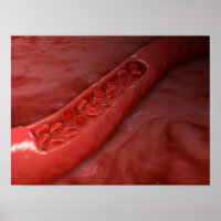 Kreuzung mit rotem Blutkörperchen