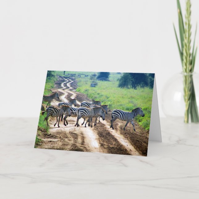 Kreuzzebra Karte (Vorderseite)