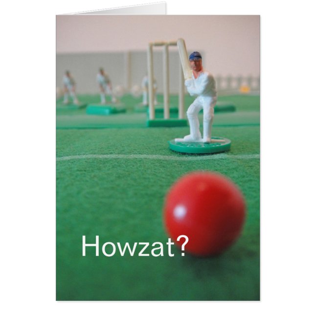 Kricket 'Howzat? ' (Vorne)