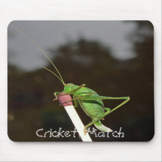 Kricket-Match-Mäusematte Mousepad