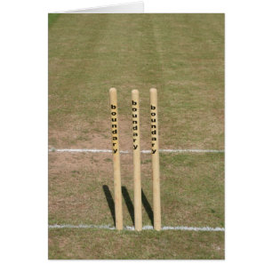 Kricket rieb bei Bickleigh, Devon, Großbritannien