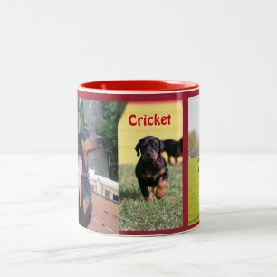 Kricket-Tasse Zweifarbige Tasse