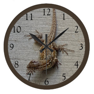 Kriechende Eidechse Große Wanduhr