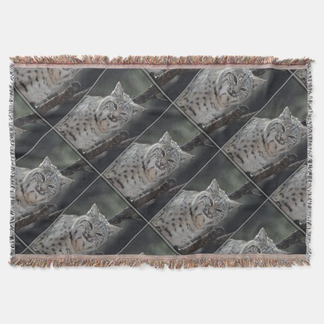 KriechenRotluchs Decke (Vorderseite)