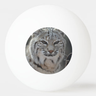KriechenRotluchs Tischtennisball