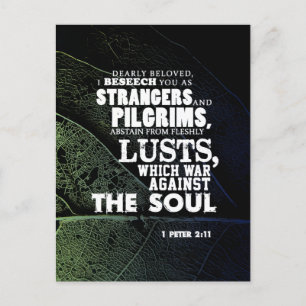 Krieg gegen das Soul Postkarte