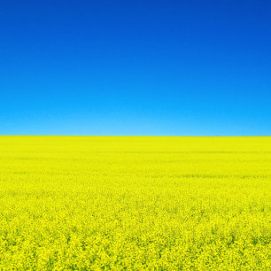 Krieg und Frieden Postkarte