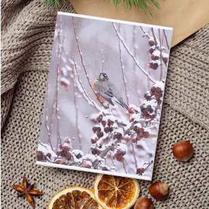 Krieger Amerikanische Rotkehlchen im Winter Postkarte