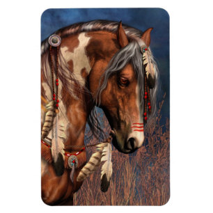 Kriegs-Pony erstklassiger Flexi Magnet