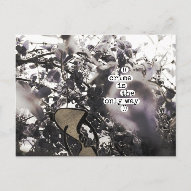 Kriminalität ist die einzige Möglichkeit Postkarte (Vorderseite)