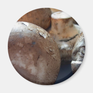 Kriminpilze Magnet
