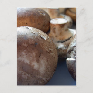 Kriminpilze Postkarte