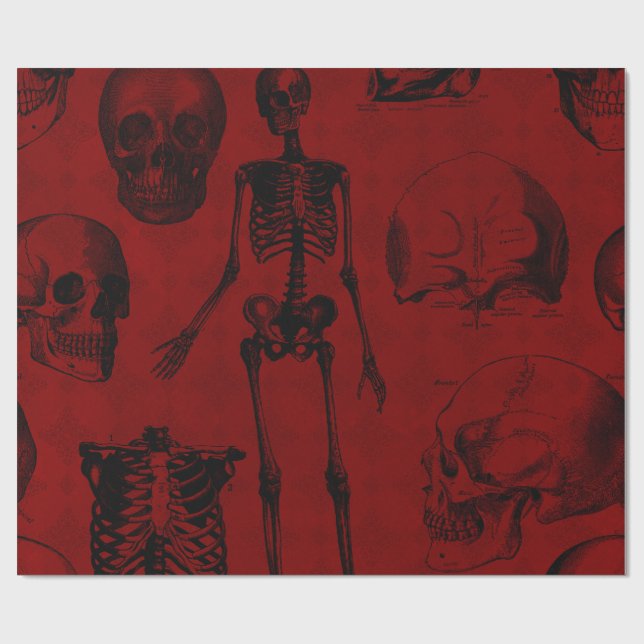 Krimson & Black Skeletons Anatomie Geschenkpapier (Flach)
