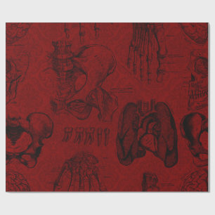 Krimson & Black Skeletons Anatomie Geschenkpapier