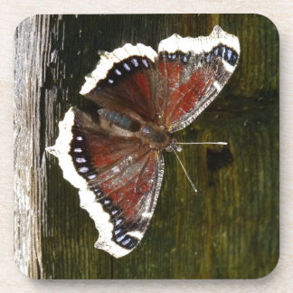 Krimson und White Butterfly Untersetzer