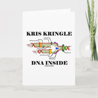 Kris Kringle DNS Innere (DNS-Reproduktion) Feiertagskarte