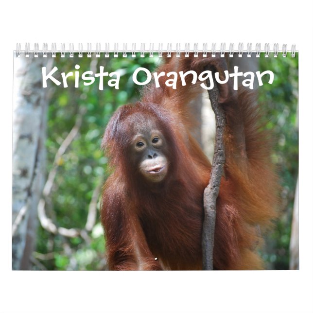 Krista Orang-Utan Dschungel-Schule Kalender (Titelbild)