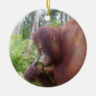 Krista Orang-Utan in Borneo Keramikornament