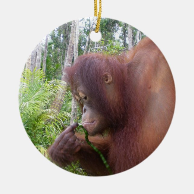 Krista Orang-Utan in Borneo Keramikornament (Vorne)
