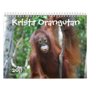 Krista Orang-Utan Tier-Wohltätigkeitkalender Kalender