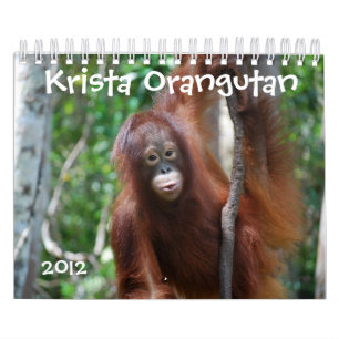 Krista Orang-Utan Tiererhaltung Kalender