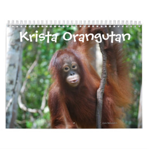 Krista Orangutan Wohltätigkeit Kalender