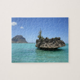 Kristallfelsen bestanden aus Koralle Puzzle