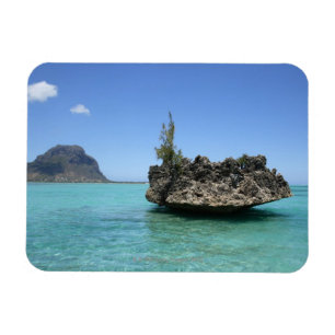 Kristallgestein aus Korallen Magnet