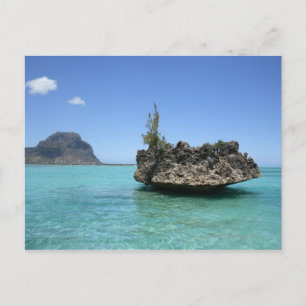 Kristallgestein aus Korallen Postkarte
