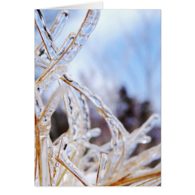 Kristallglas (Vorne)