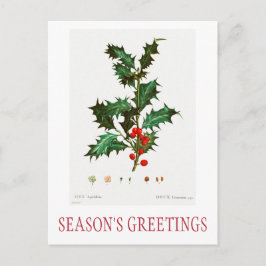 KRISTMAS POSTCARD DER SAISON-GREETINGS POSTKARTE