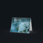 Kritikpunkte auf einer Blatt-Winter-Grußkarte Feiertagskarte<br><div class="desc">Passen Sie diese Urlaubskarte mit einer personalisierten Nachricht für die Urlaubssaison an. Auf dieser Karte befindet sich ein Foto von Zellen,  die sich auf den Blätter eines Baumes gebildet haben.</div>