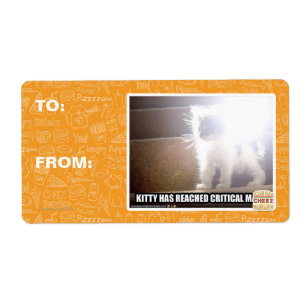 Kritische Masse Kitty
