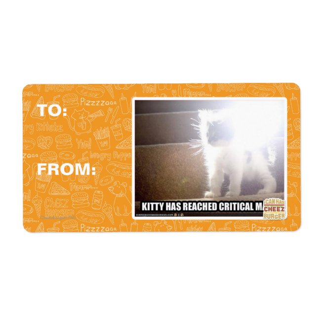 Kritische Masse Kitty (Vorne)