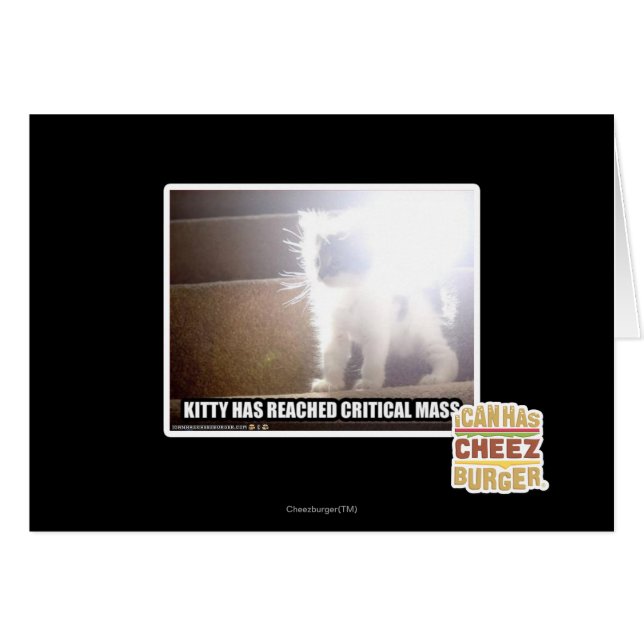 Kritische Masse Kitty (Vorderseite (Horizontal))