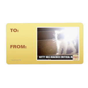 Kritische Masse Kitty