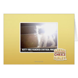 Kritische Masse Kitty