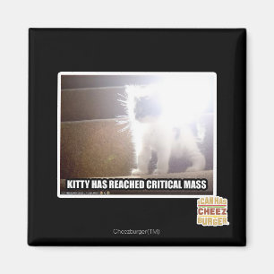 Kritische Masse Kitty Magnet