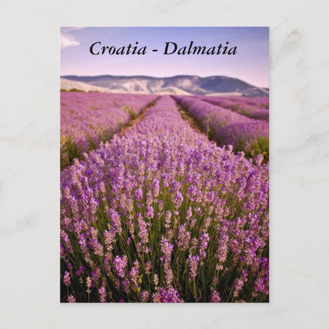 Kroatien - Dalmatien Postkarte (Vorderseite)