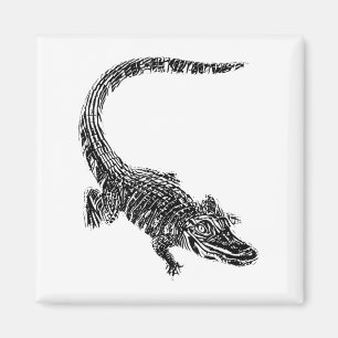 Krokodil Alligator Motiv Reptil Zähne Tier Krokodi Magnet
