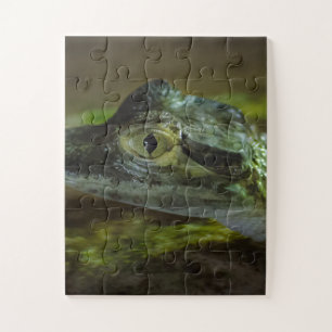 Krokodil-Baby Schwimmen im Wasser Puzzle