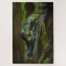 Krokodil-Baby Schwimmen im Wasser