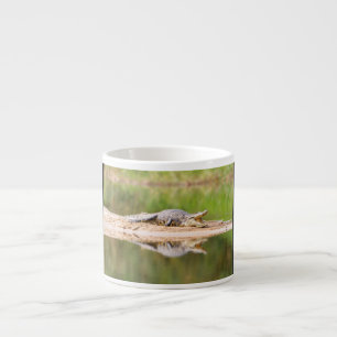 Krokodil Espressotasse