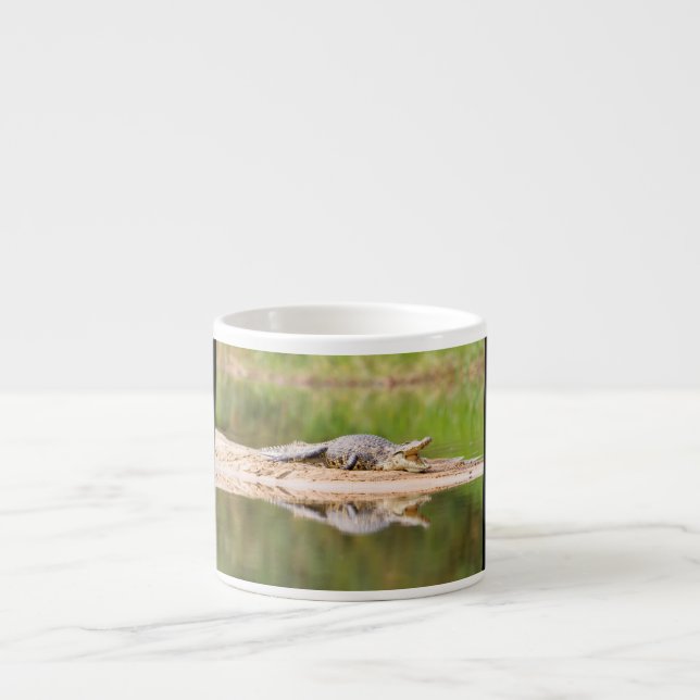 Krokodil Espressotasse (Vorderseite)
