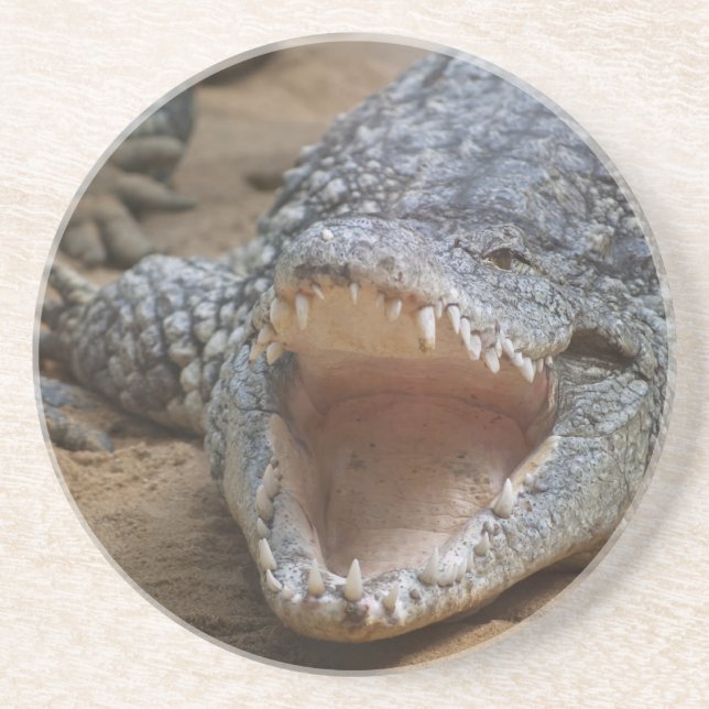 Krokodil Getränkeuntersetzer (Vorne)