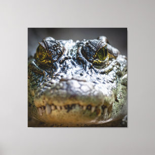 Krokodil im Wasser Leinwanddruck