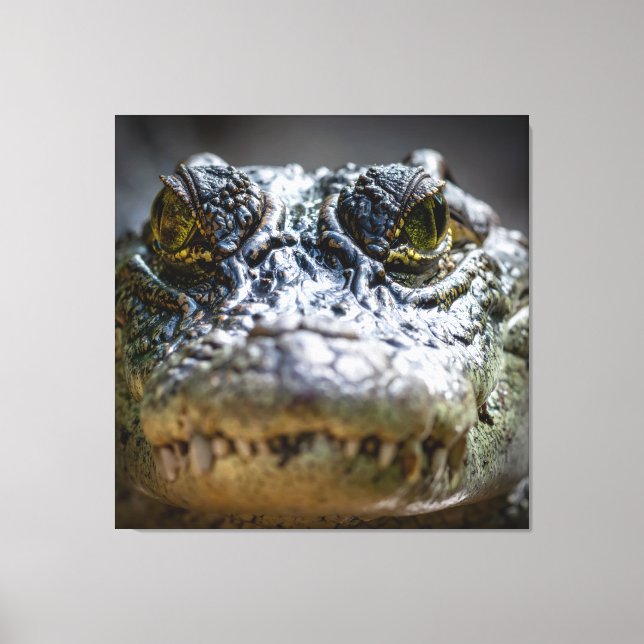 Krokodil im Wasser Leinwanddruck (Vorderseite)